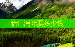 胎记消除要多少钱