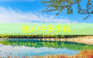 缩人中多少钱