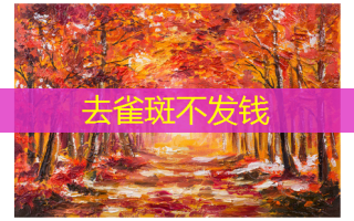 去雀斑不发钱