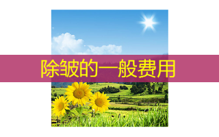 除皱的一般费用