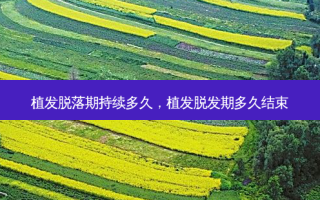 植发脱落期持续多久，植发脱发期多久结束