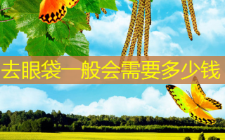 去眼袋一般会需要多少钱