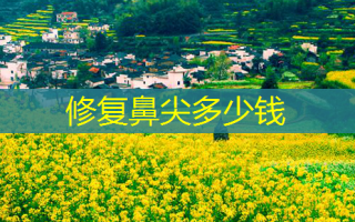修复鼻尖多少钱