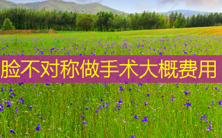脸不对称做手术大概费用