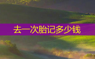 去一次胎记多少钱