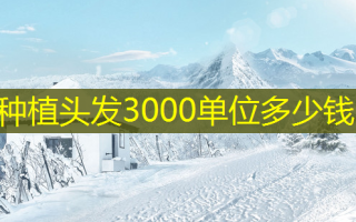 种植头发3000单位多少钱