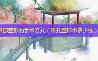 鼻部整形的手术方式（鼻孔整形术多少钱）