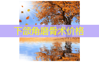 下颌角磨骨术价格