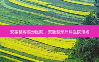 安徽整容整形医院，安徽整形外科医院排名
