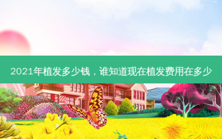 2021年植发多少钱，谁知道现在植发费用在多少