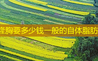 隆胸要多少钱一般的自体脂肪