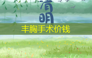 丰胸手术价钱