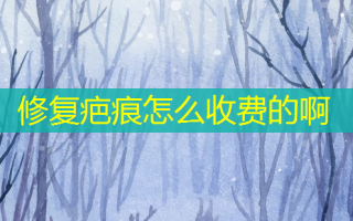 修复疤痕怎么收费的啊