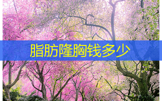 脂肪隆胸钱多少