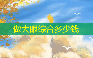 做大眼综合多少钱