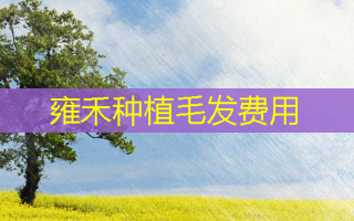雍禾种植毛发费用