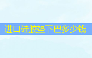 进口硅胶垫下巴多少钱
