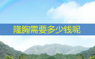 隆胸需要多少钱呢