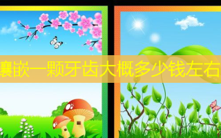 镶嵌一颗牙齿大概多少钱左右