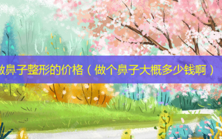 做鼻子整形的价格（做个鼻子大概多少钱啊）