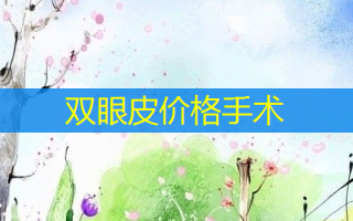 双眼皮价格手术