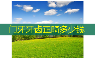 门牙牙齿正畸多少钱