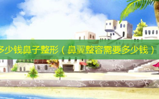多少钱鼻子整形（鼻翼整容需要多少钱）