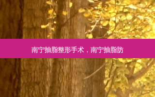 南宁抽脂整形手术，南宁抽脂肪