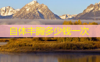 自体丰胸多少钱一次