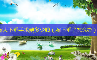 胸大下垂手术费多少钱（胸下垂了怎么办）