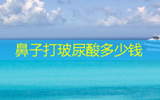 鼻子打玻尿酸多少钱