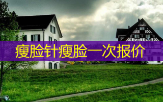 瘦脸针瘦脸一次报价