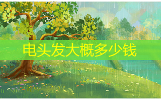 电头发大概多少钱