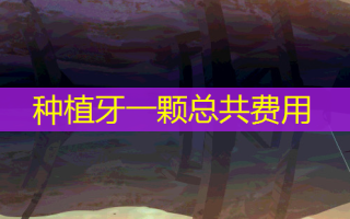 种植牙一颗总共费用