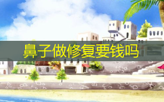 鼻子做修复要钱吗