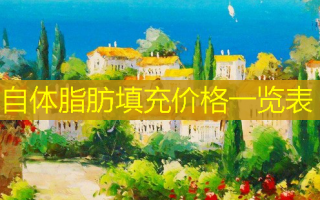 自体脂肪填充价格一览表