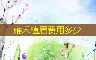 雍禾植眉费用多少