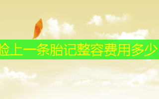 脸上一条胎记整容费用多少