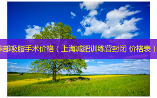 腿部吸脂手术价格（上海减肥训练营封闭 价格表）