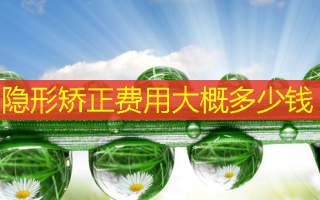 隐形矫正费用大概多少钱