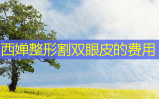 西婵整形割双眼皮的费用