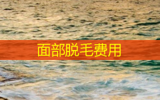面部脱毛费用
