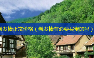 卷发棒正常价格（卷发棒有必要买贵的吗）