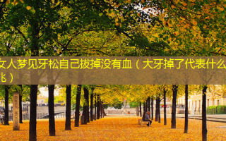 女人梦见牙松自己拔掉没有血（大牙掉了代表什么预兆）