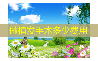 做植发手术多少费用