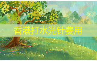 香港打水光针费用