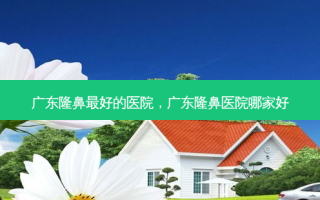 广东隆鼻 *** 好的医院，广东隆鼻医院哪家好