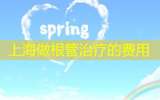 上海做根管治疗的费用
