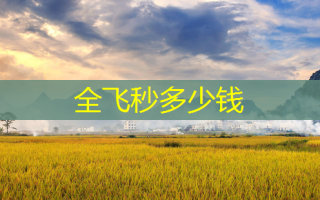 全飞秒多少钱