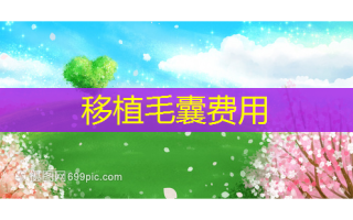 移植毛囊费用